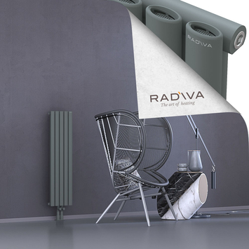 Bia Aluminium Radiator 1000x282 Anthracite - Thumbnail