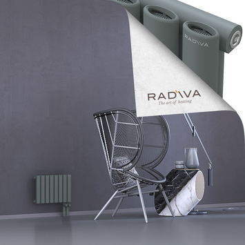 Bia Aluminium Radiator 300x456 Anthracite - Thumbnail