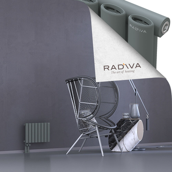 Bia Aluminium Radiator 300x456 Anthracite - Thumbnail