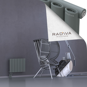 Bia Aluminium Radiator 400x572 Anthracite - Thumbnail