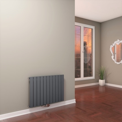 Type 10V Radiateur Décoratif 600x810 Anthracite